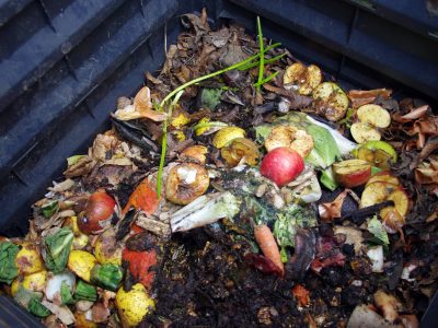 food waste removal services